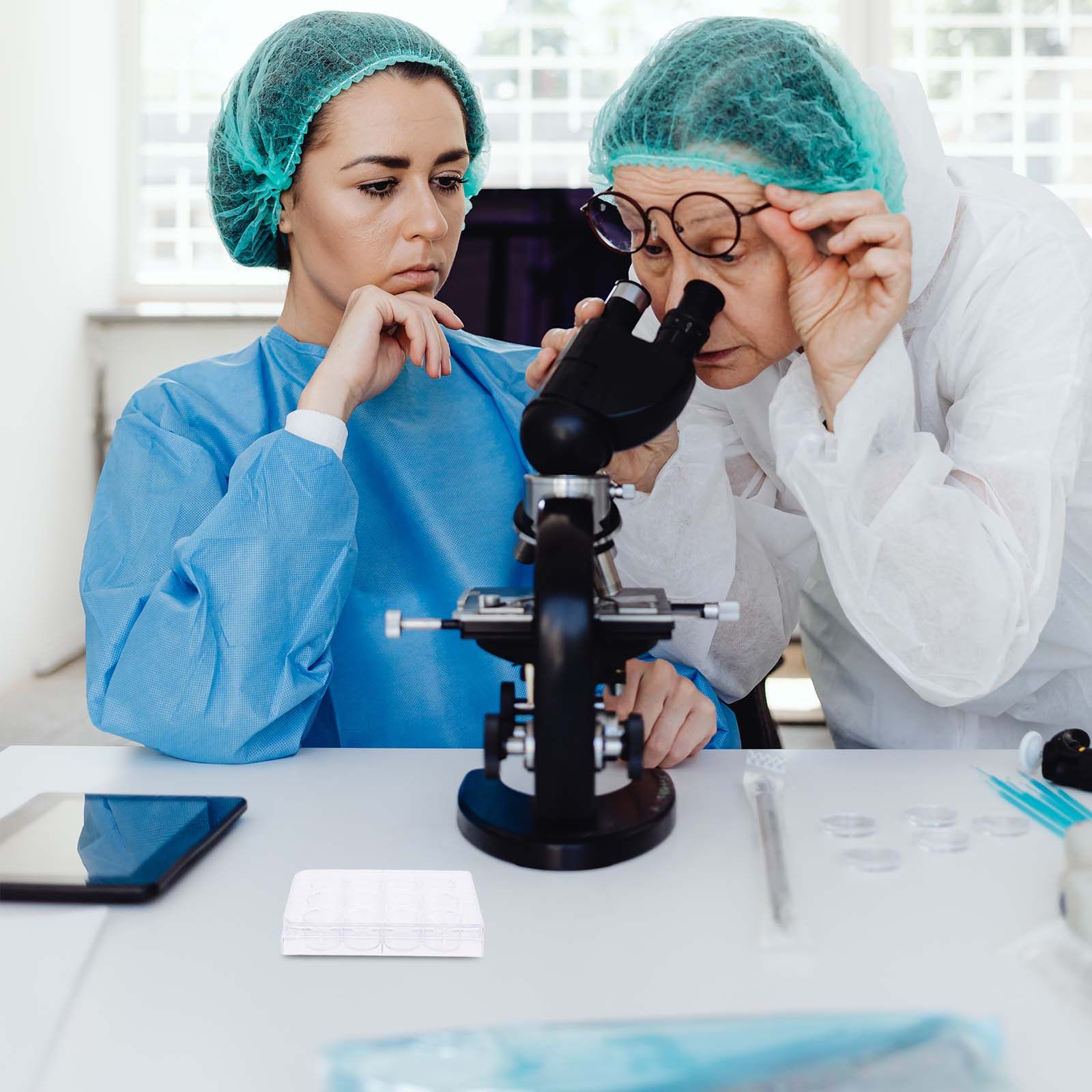 صينية زراعة الخلايا ذات 12 فتح - مراجعة Lab Equipment وسعره